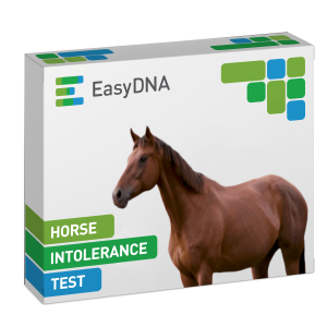 Pferdeintoleranztest